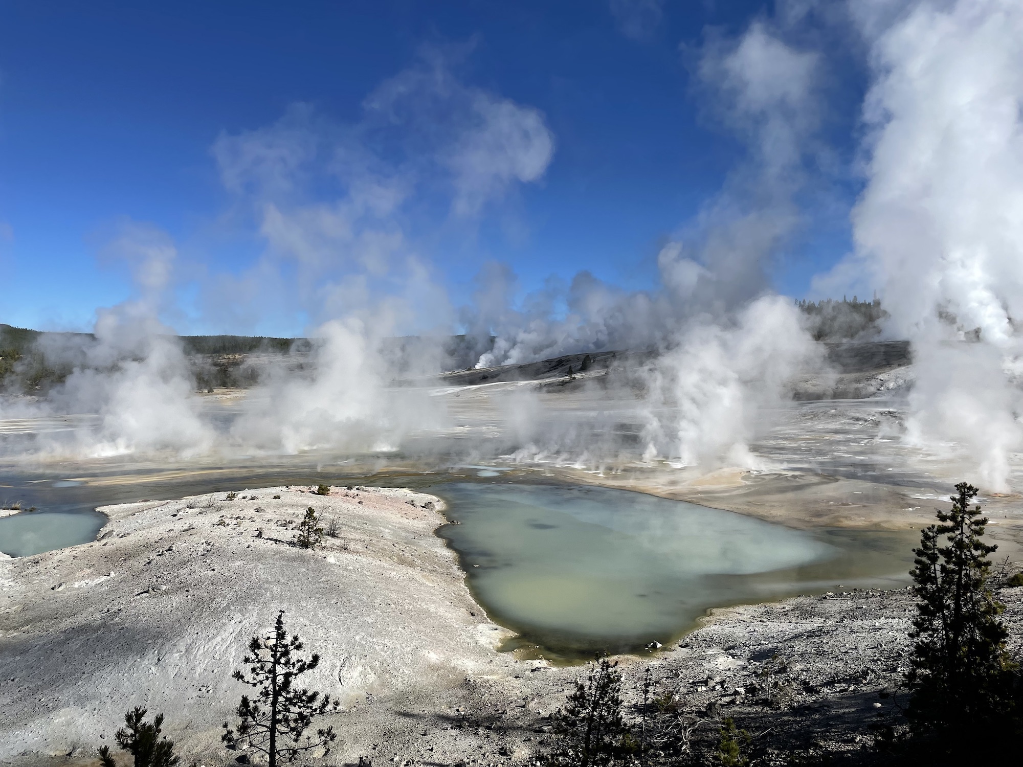 Snowy Landscape Full